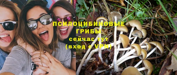 герыч Пикалёво