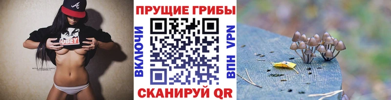 ОМГ ОМГ ССЫЛКА  Орёл  Псилоцибиновые грибы MAGIC MUSHROOMS  наркота 